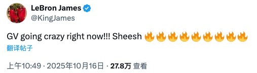詹姆斯发推：文森特打疯了🔥🔥🔥🔥🔥🔥🔥🔥🔥 独行侠vs湖人 ​