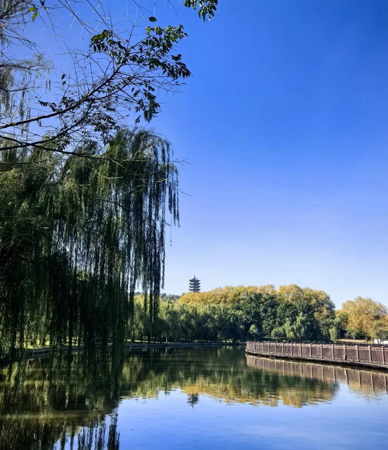 晒图笔记大赛夏日风景好