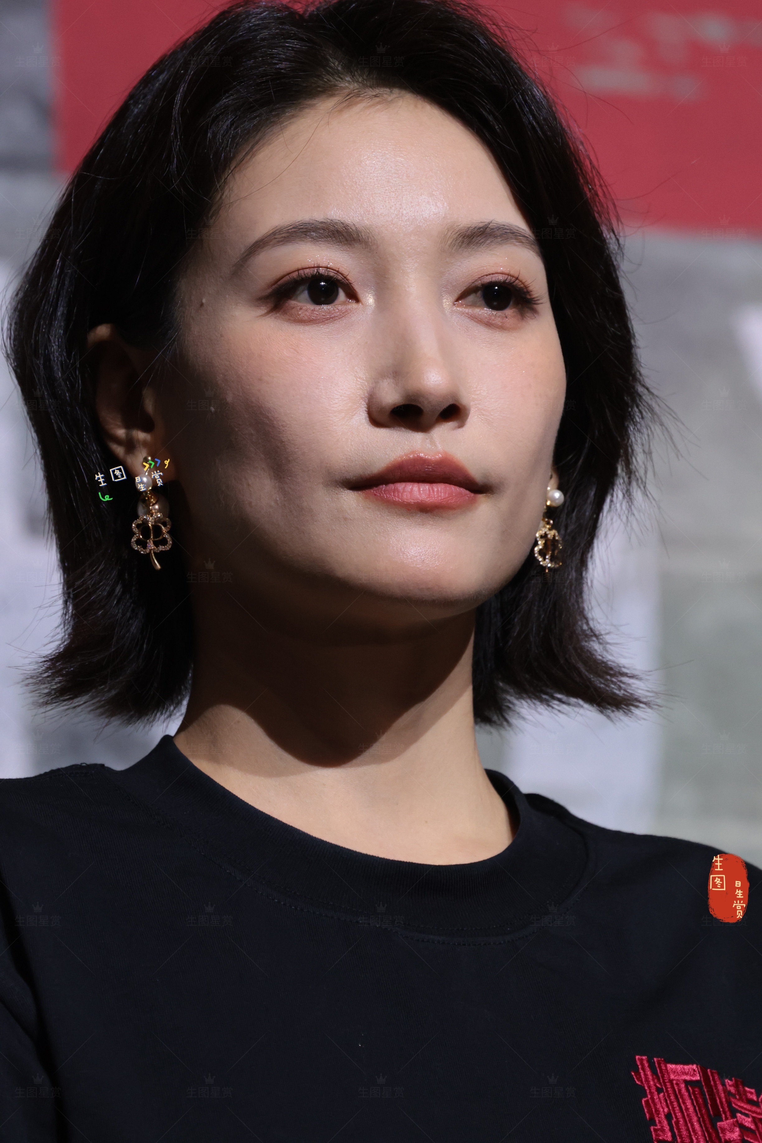 啜妮这脸美的很有质感电影抓特务 北京首映礼生图 