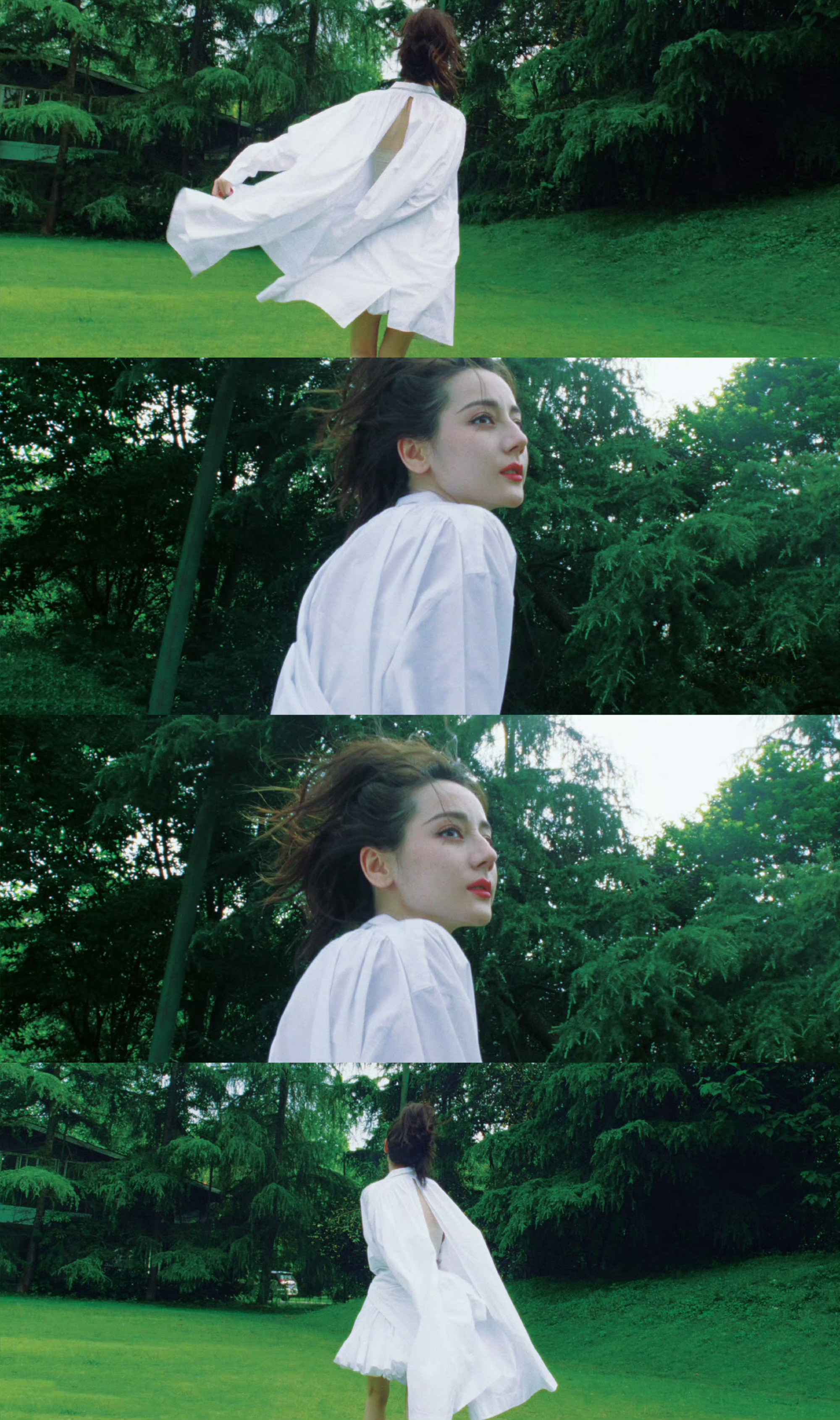 🍃 