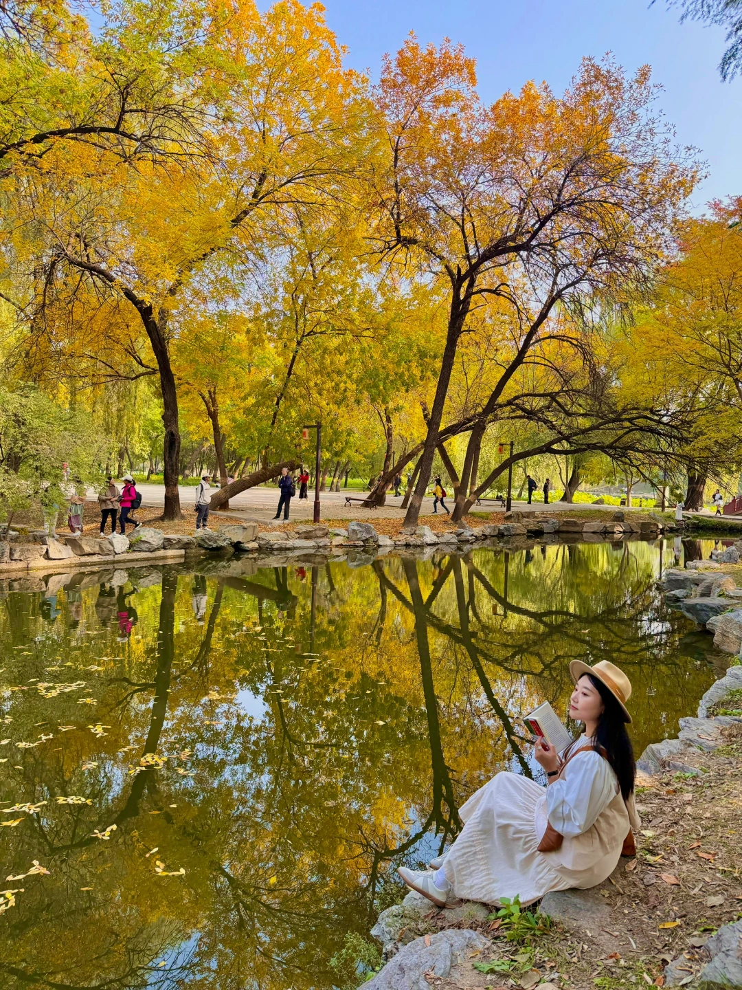 10.12实况🍁圆明园的秋，封神一样的存在！
