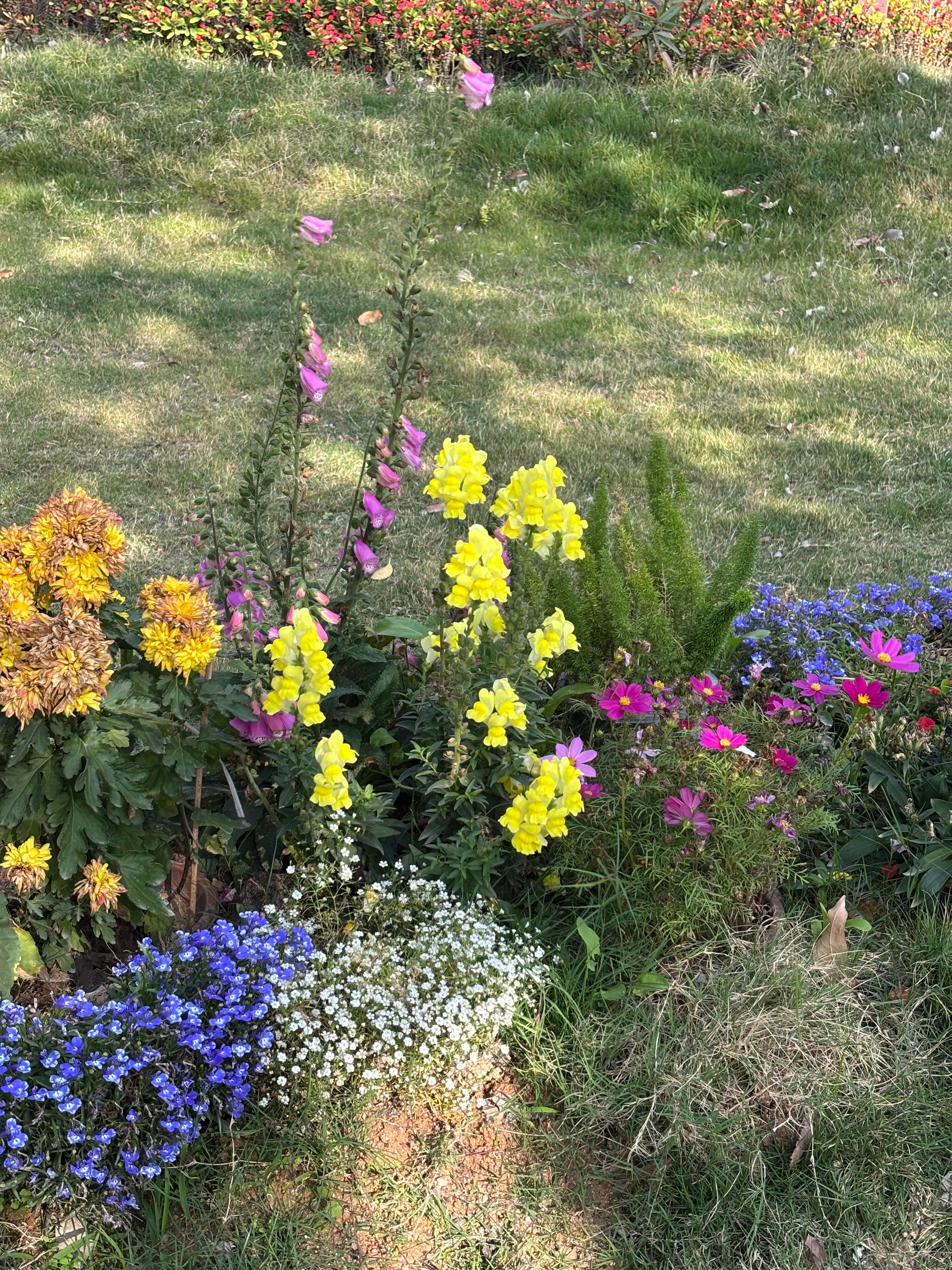 (•'╻'• ) !!有些话要讲💬：发photooooooo‼ 