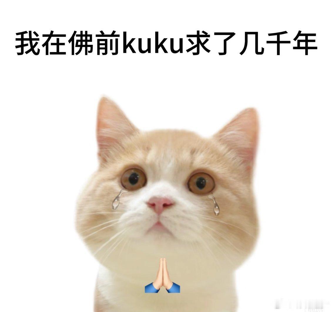 每日一求：一定要让我抢到票，什么位置都行！