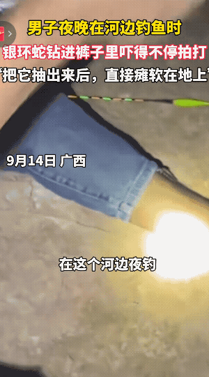 “这就是命啊！”9月14日，广西防城港，一男子坐在河边钓鱼，忽然，感觉小腿一阵冰