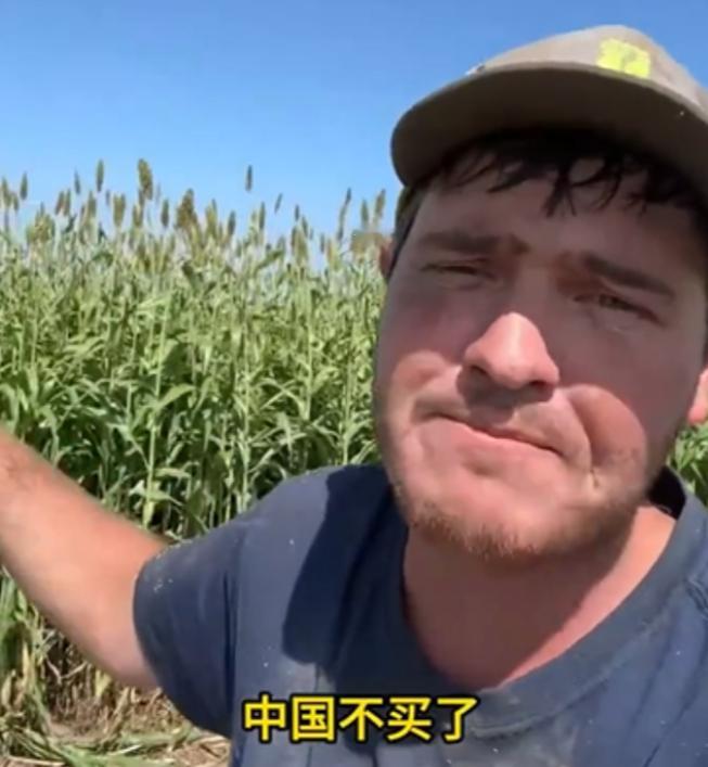 大豆之战赢得漂亮！中方手段令各国叹服，这次白宫真急了。中方是全球最大的大豆买家。