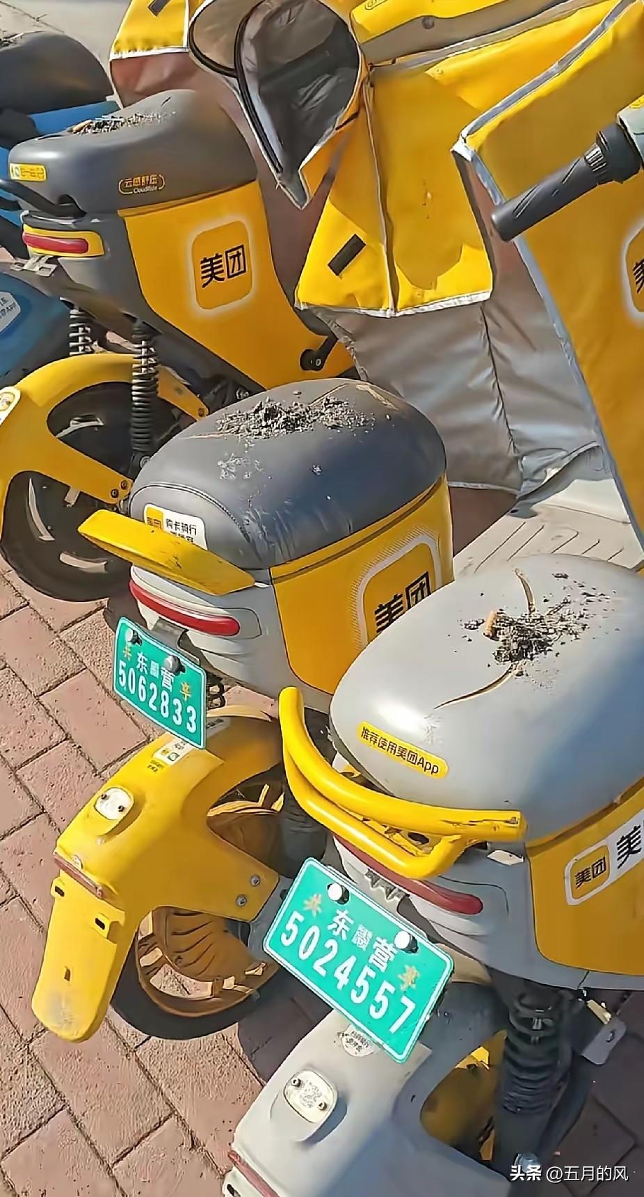 东营共享单车遭毒手，城市脸面被谁撕烂？
 
东营火车站前的共享单车，竟成了某些人