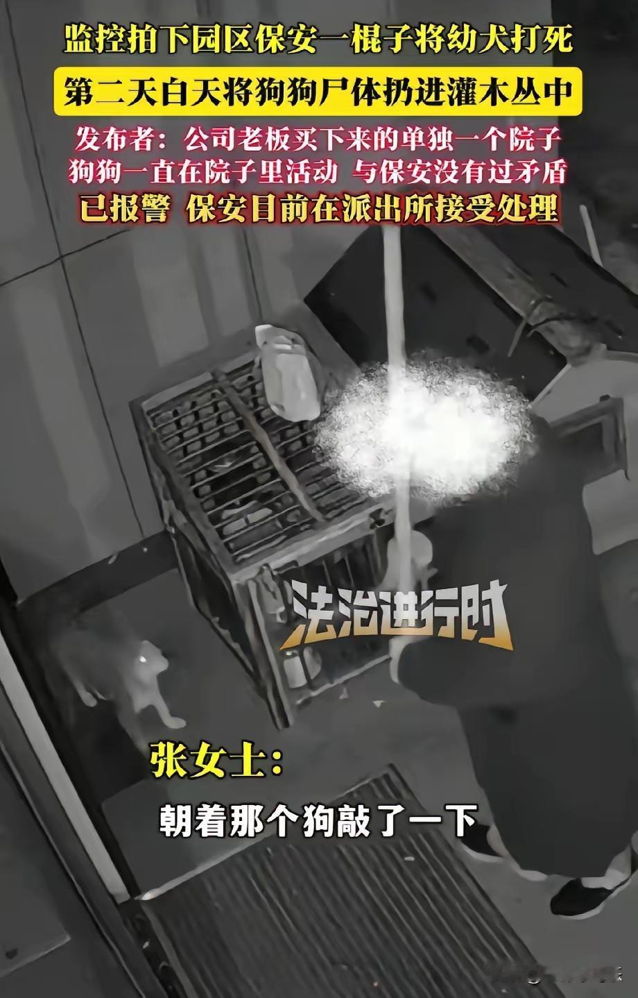 保安如此对待小狗确实有些过分了，不能半夜故意直接打死，所以他被辞退和拘留也不亏。