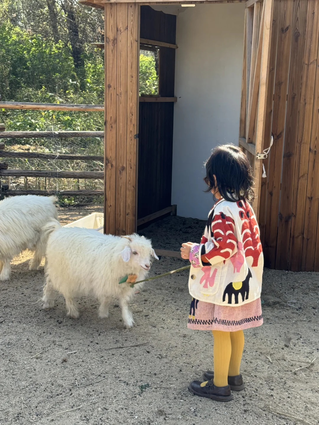 沈阳遛娃｜适合小朋友的时髦农场。