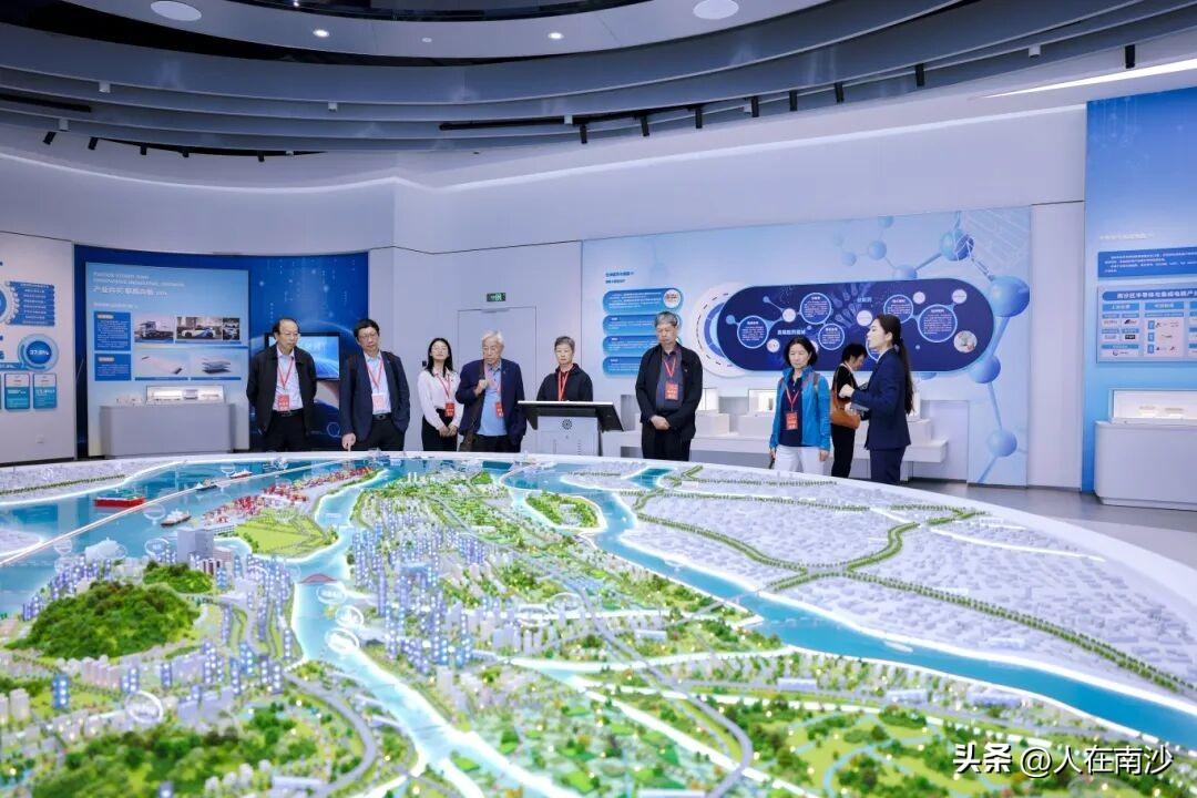 【院士等顶尖智囊团聚首南沙】南沙科技创新“十五五”规划院士咨询会与南沙产业科技创