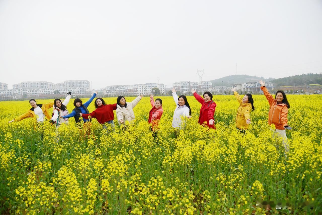 3月8日，春回大地，油菜花开。“走遍京山”户外运动人也走进大自然，开始了徒步、拍