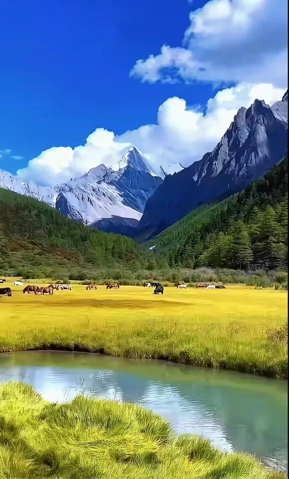 夏天虽然已近尾声，依旧炎热，风儿也不知躲避到哪里去了，蝉也懒得出声。

小区门面