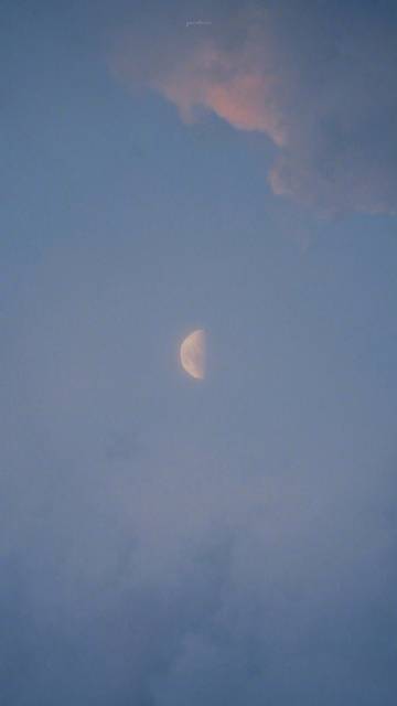 个人的涵养，不在心平气和时，而是心浮气燥时；一个人的理性，不在风平浪静时，而是众