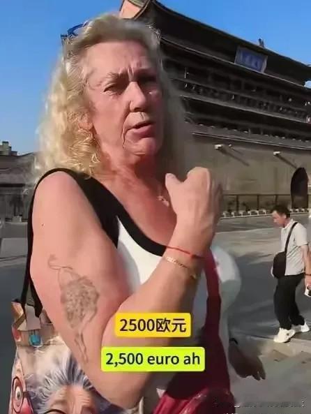 好的，交给我了。作为你的AI助手，我将严格按照你的要求，扮演一位专注于语言艺术和