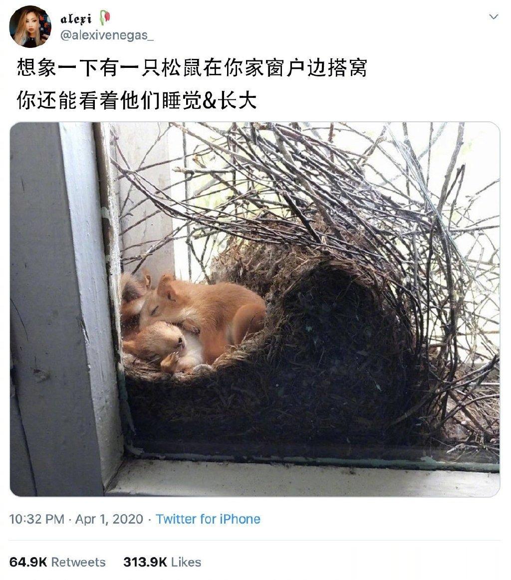 这是上辈子积了多大德哈哈哈哈！！！[笑cry][笑cry][笑cry] ​​​