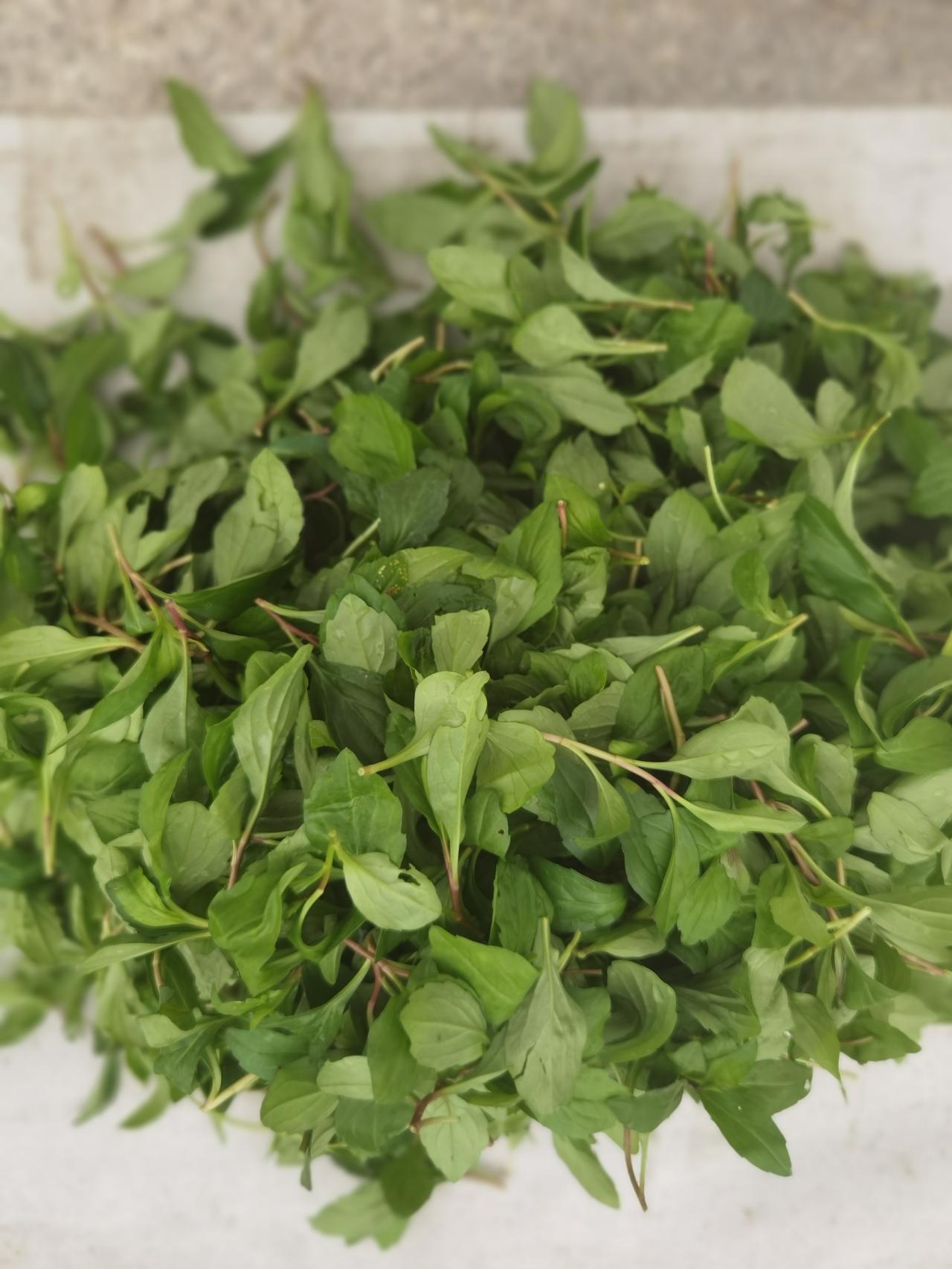 今天路过越英路，发现路口一个老太太摆摊，卖鸭蛋、马兰头、豌豆。
豌豆7元一斤，买