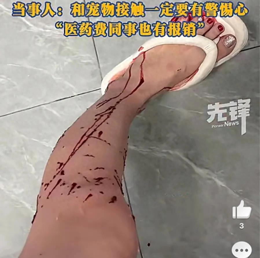 这真是太惨了！海南三亚，一位女子好心帮同事上门喂猫，本以为是举手之劳，谁知竟换来