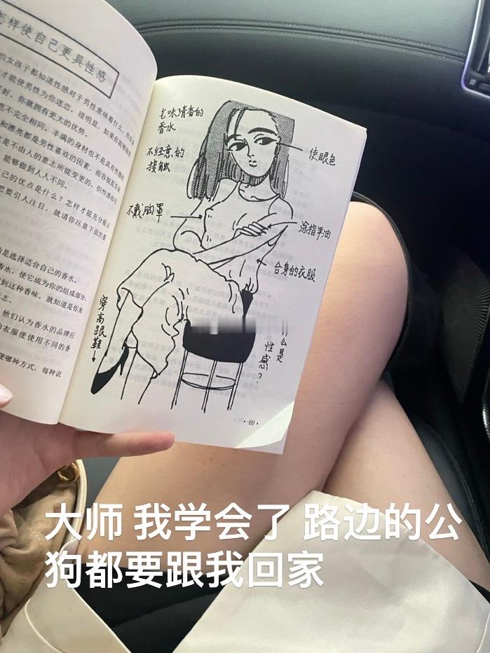 大师 我学会了 ​​​