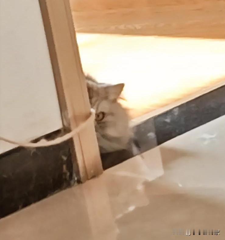 好家伙，真是有点扯🥚了
昨天下班我找自行车骑呢，突然从身后窜出来2小伙，给我来