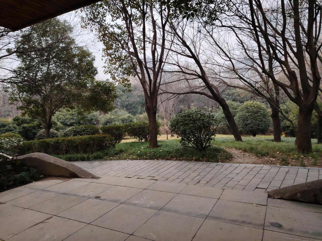 昔日民办教师虽无高学历，却有着丰富的经历；
如今公办教师具备学历，却在实践经验上