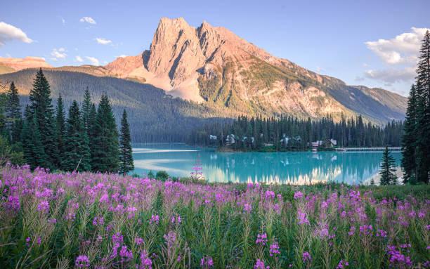 一位管理者说：
真正的修养，不是碾压：高手面对“认知低的人”，用的是“帝王心术”