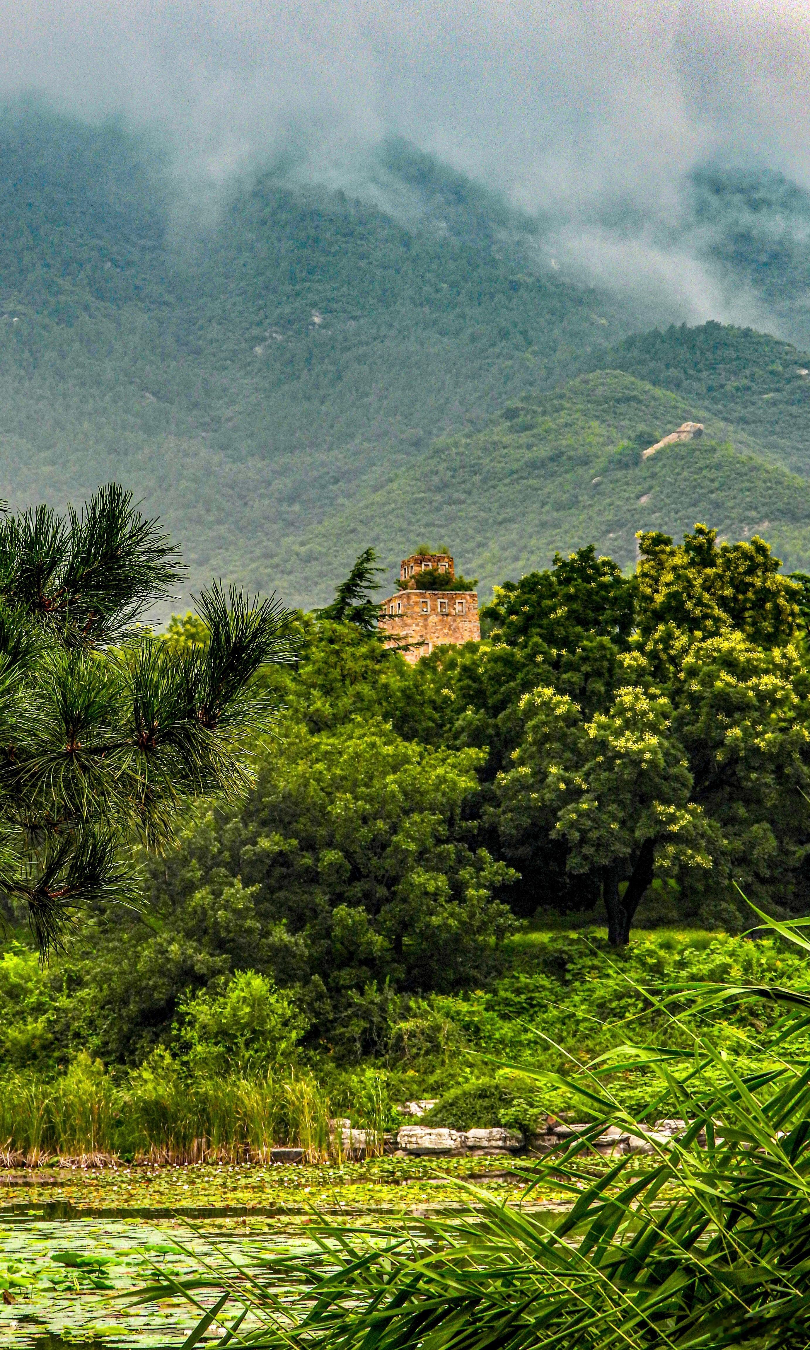 【周一。末伏第十天。国家植物园   北园 】方蓬只在水云乡，点点珠玑洒薄凉。谁写