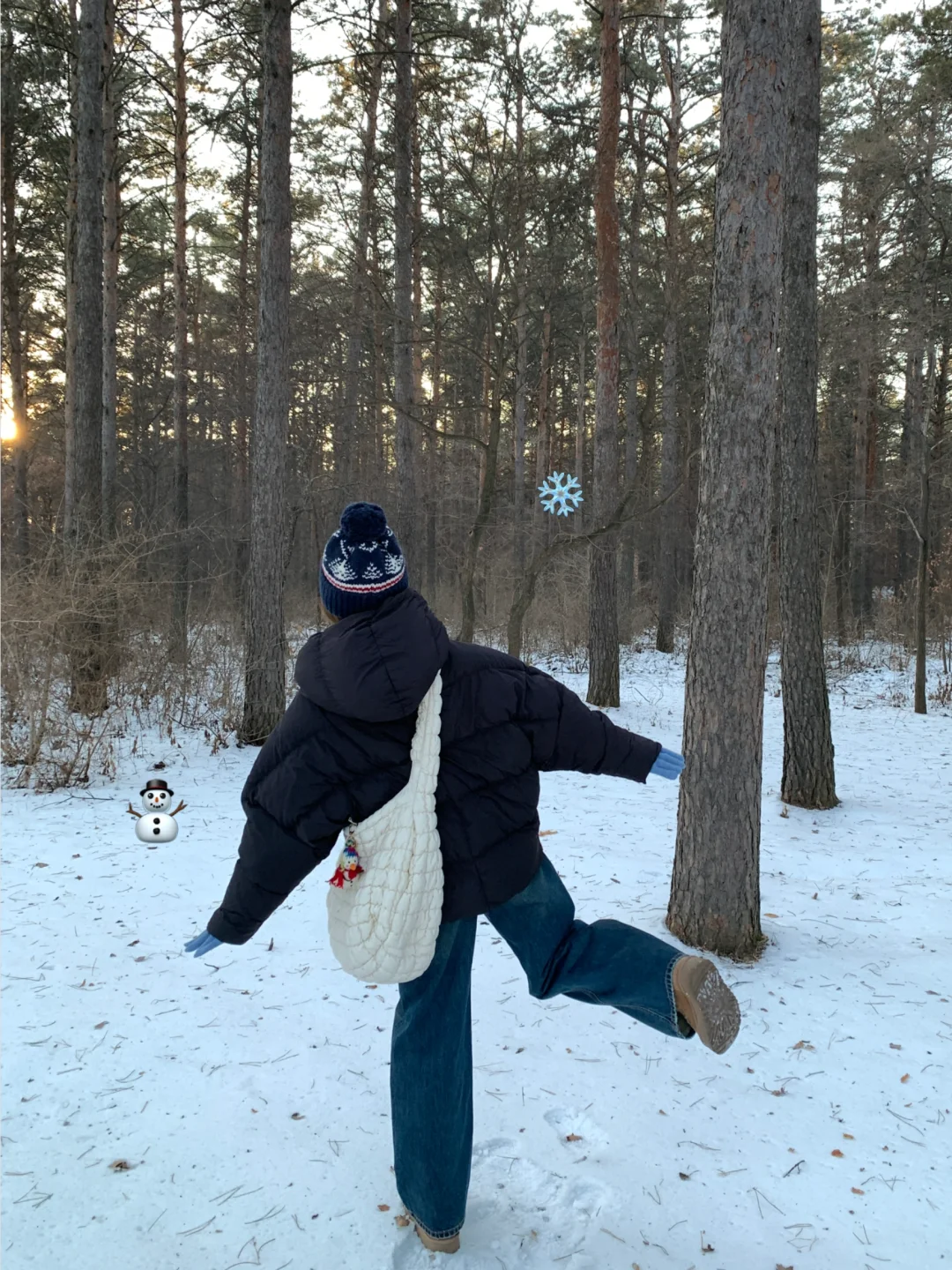 在雪地里撒欢🐾