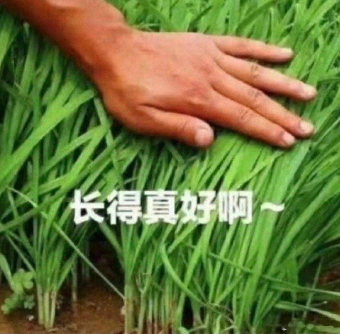 这仨图连起来看，酷的嘴脸 