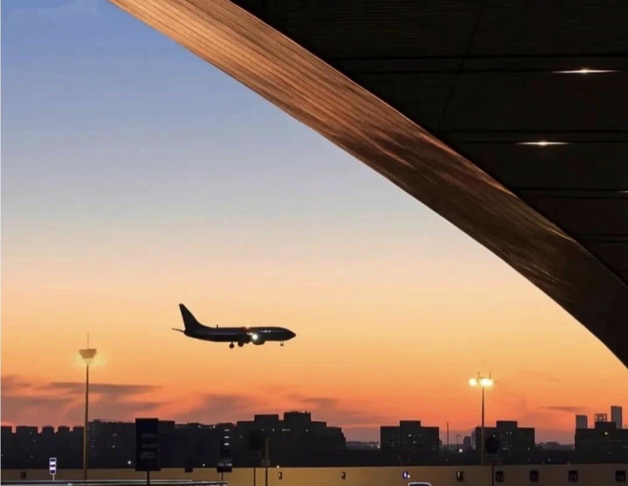 太烦人了，我特别讨厌我丈母娘，她没儿子就我老婆一个女儿，一直和我们住一起。每天下