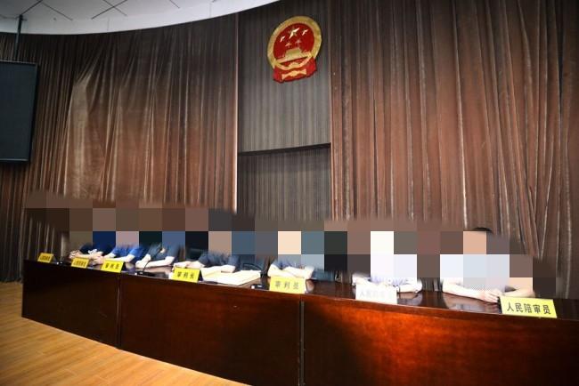 第一次开庭，只见审判台上端坐着七位审判人员，其中三名是审判员，另外四名是人民陪审