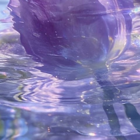 ‎种植 求善一善种植郁金香的方法：1、土壤选择持水性和通透性强的土壤，以利于后期