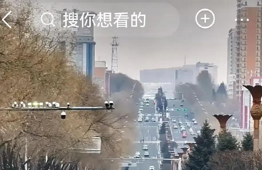 七台河岗下坡那段路我去年跑过，货车刹车片冒青烟味儿直往车窗里钻，导航冷冰冰报前方