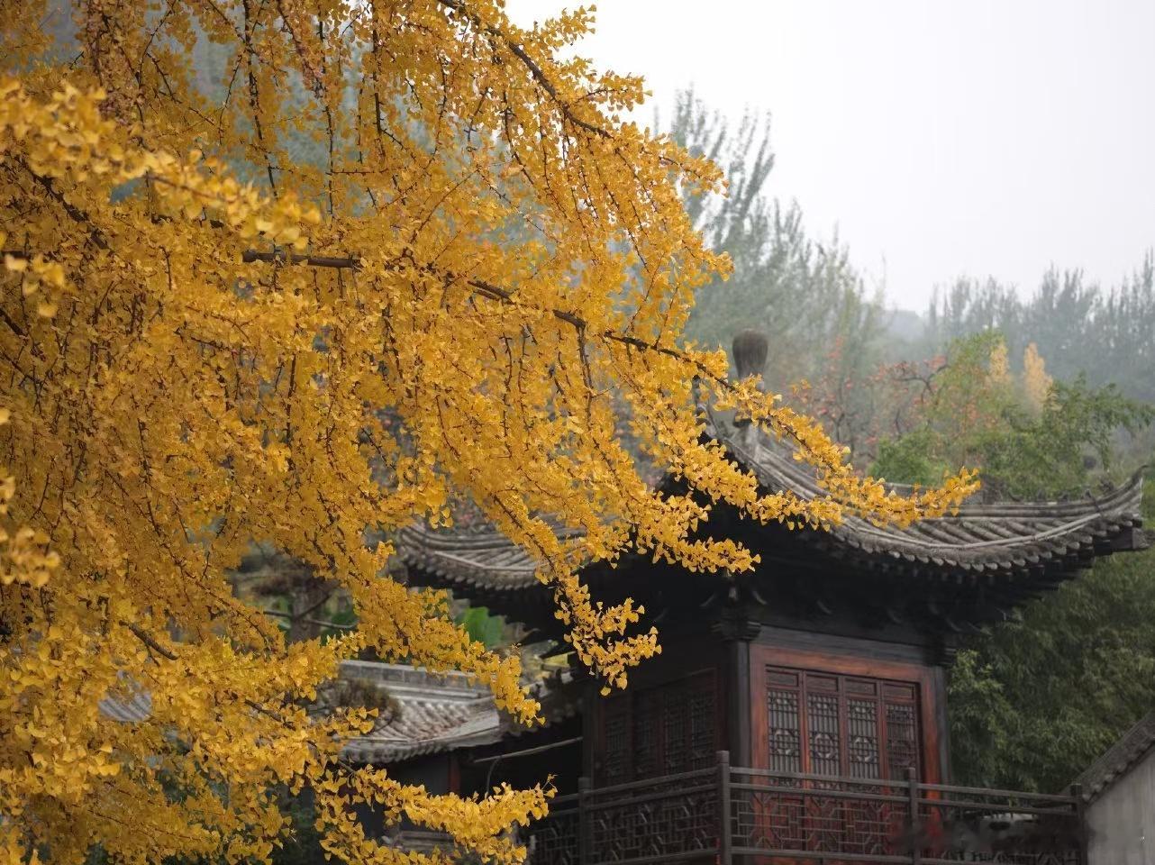 闽大福[超话]  生活手记  每一个清晨，都是一次崭新的起点。不要被昨日的烦恼羁