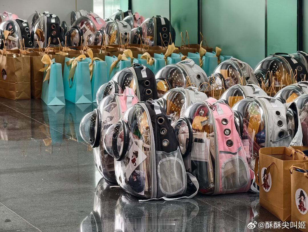杨洋伴手礼送猫包专属伴手礼敲定可爱猫包，细节处处藏着温柔趣味，再添实锤证明本人自