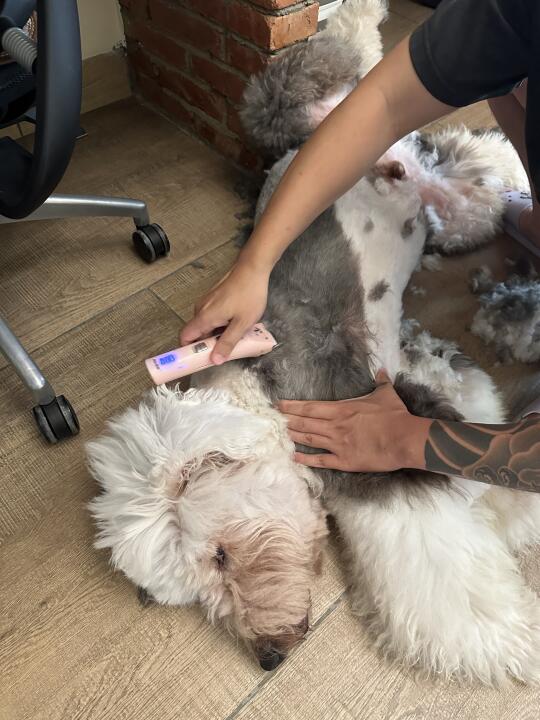 剃毛，不是有手就会🤓