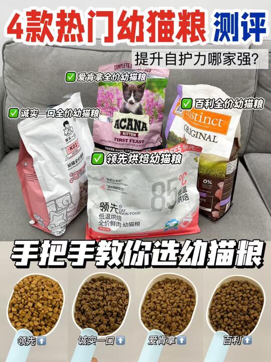 4款热门幼猫粮测评，新手铲屎官快进！