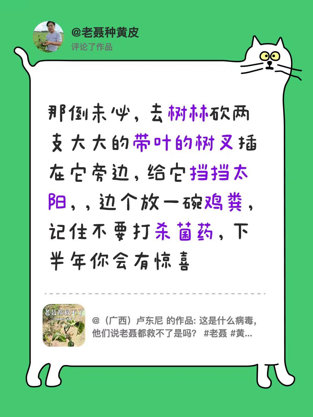我评论了@（广西）卢东尼 的作品：
那倒未必，去树林砍两支大大的带叶的树叉插在它
