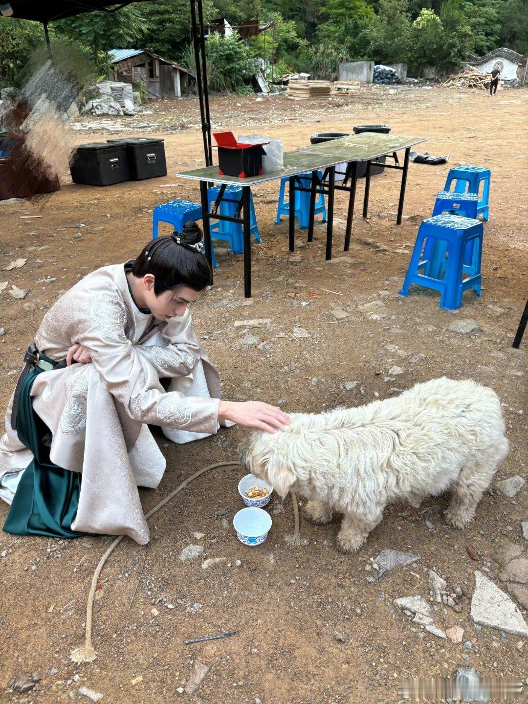 不得不说宋威龙 的温柔真是刻在骨子里的本能私下极度偏爱小动物，偶遇街头流浪毛孩会