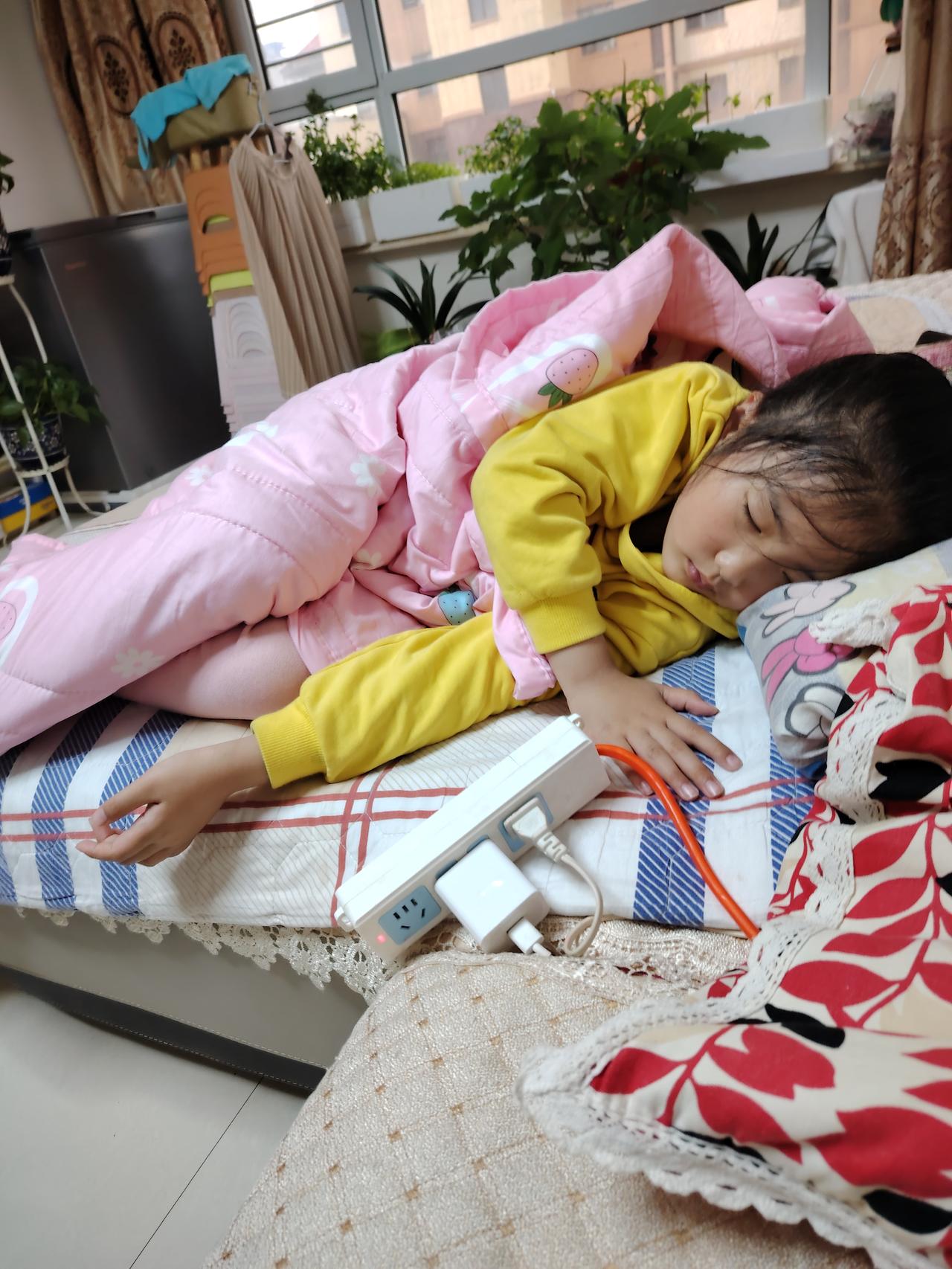 小崽子放学回家了，还得来个养膘觉，太会养膘了。