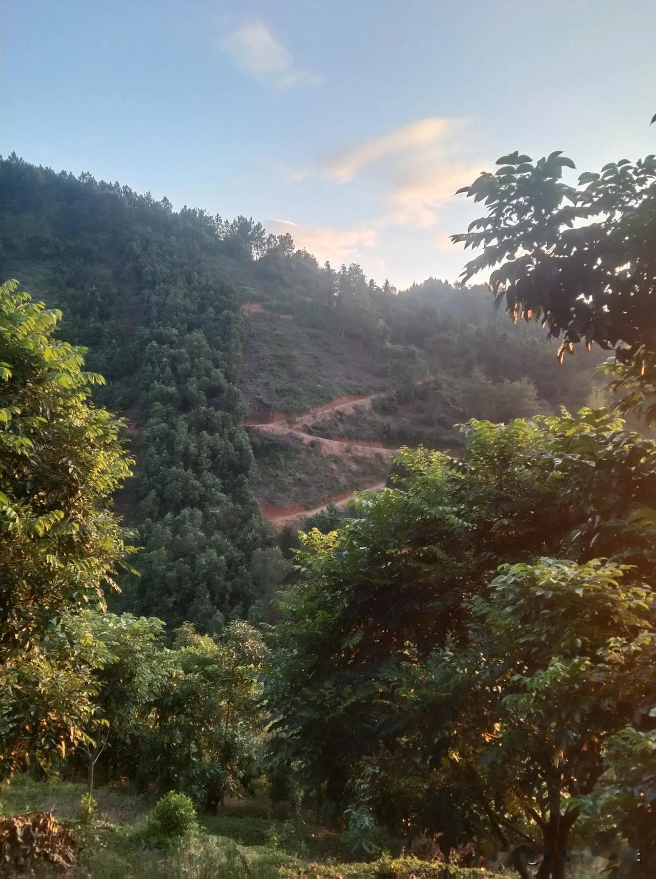 想挑战Z字战，S战的赛车道，来郁南，大山深处，郁南欢迎你。

