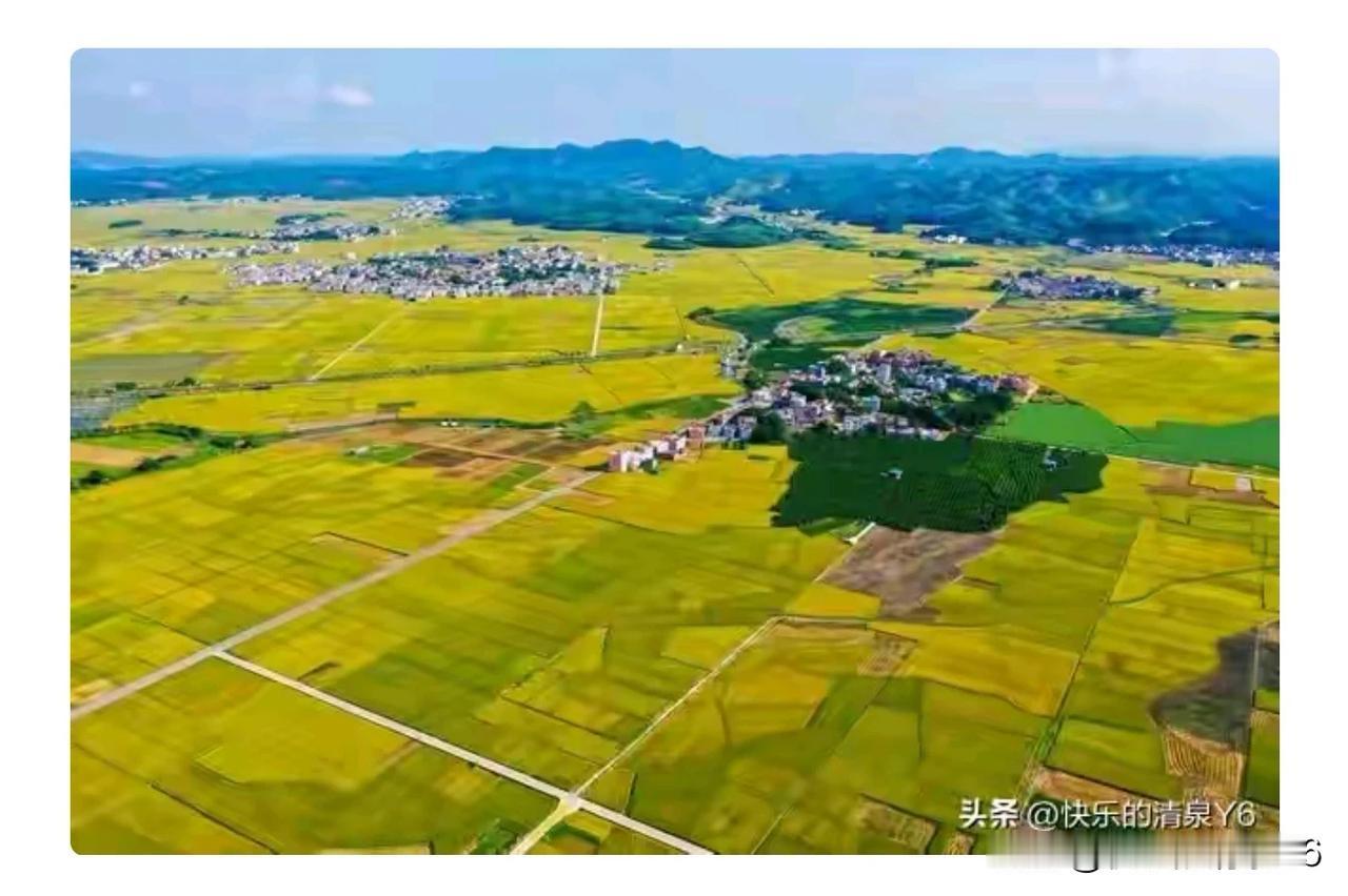 面对饥荒,农村比城市有优势呢?大集体年代，城市比农村有优势。那个时候，城市人有粮