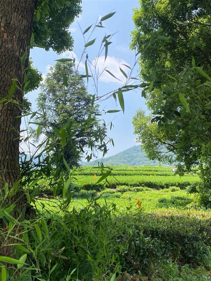 现在就我一个人带队买石油，总觉得很多眼睛色眯眯的盯着我，巴不得我们亏钱。问题是你