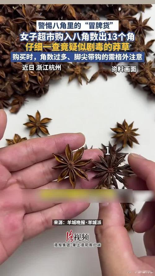 女子买的八角数出13个角竟有剧毒买八角像开盲盒：正常8个角，这位姐一数——13个