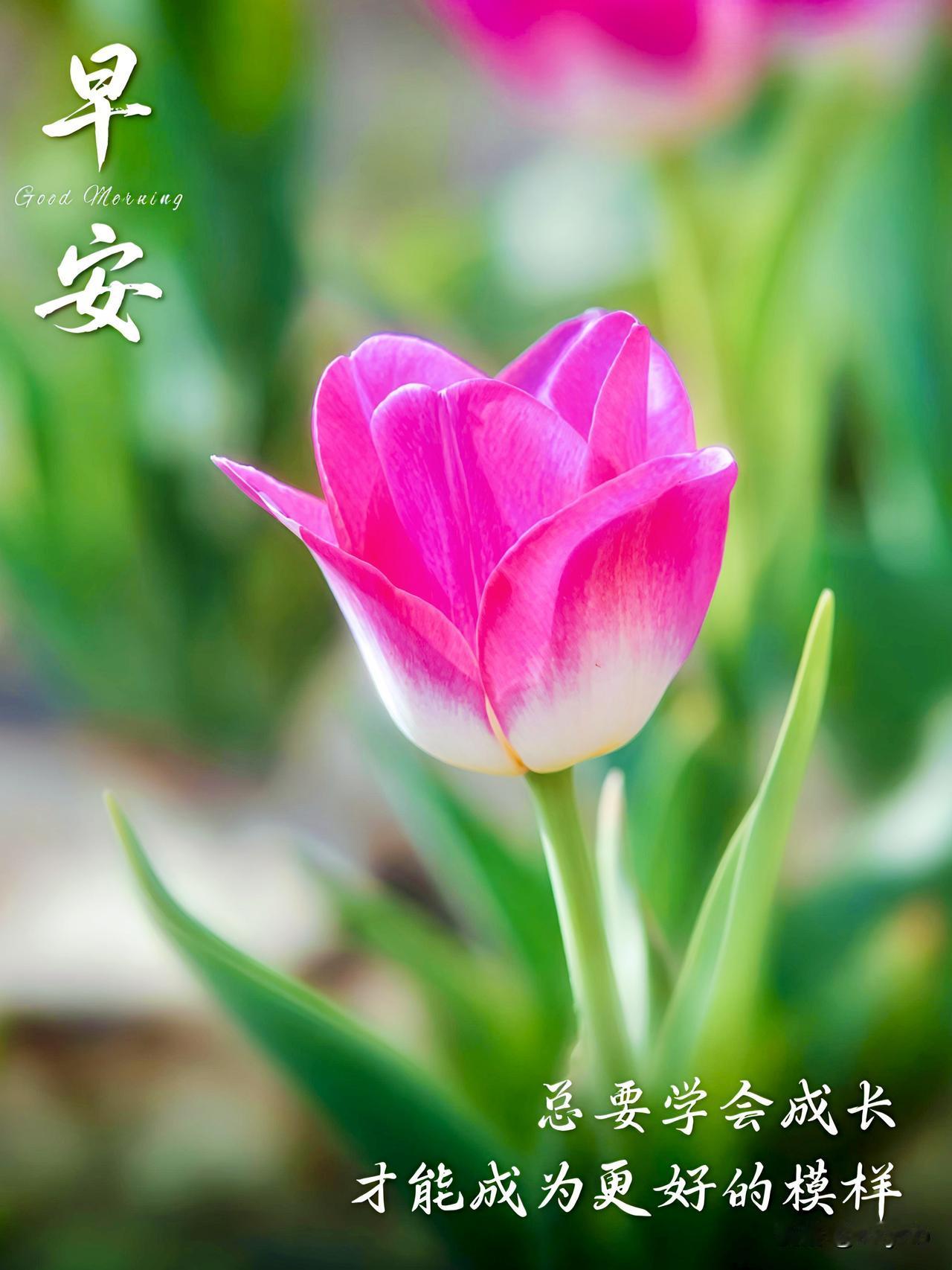 真诚的问候留在流年里，暖暖的祝福融进每一天。愿快乐安康常伴。

人生旅途风景万千
