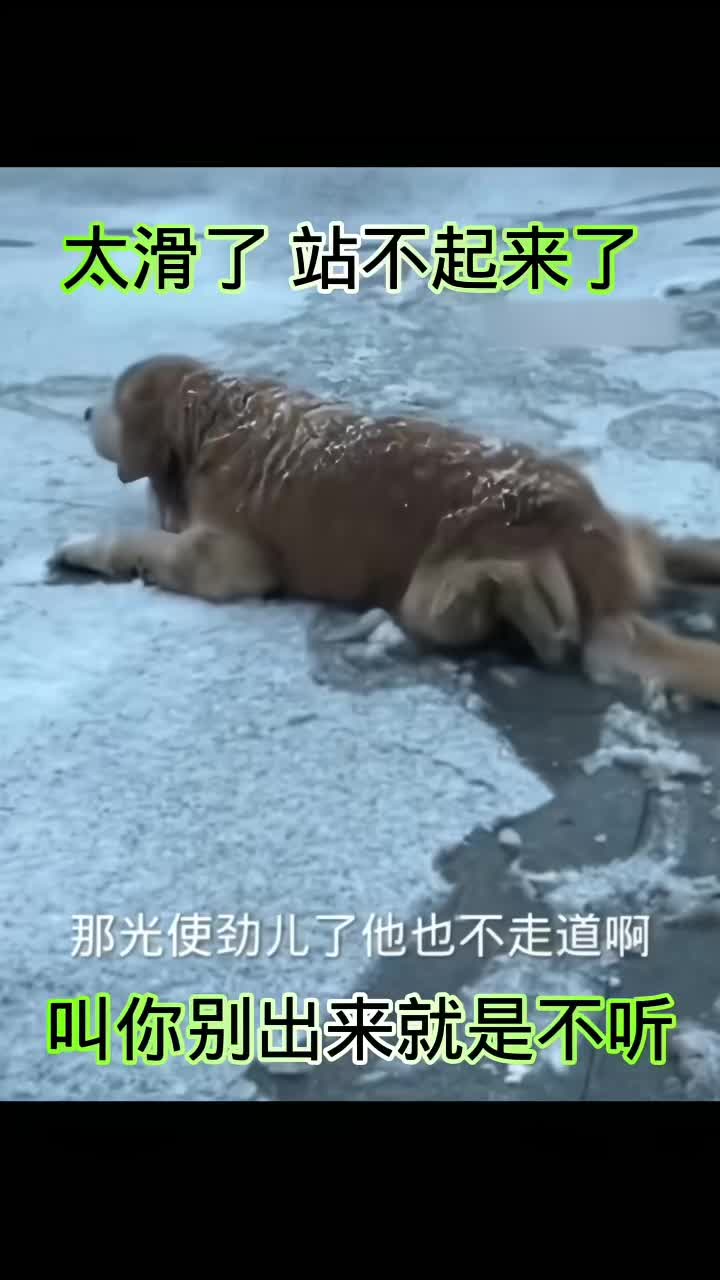 搞笑配音视频