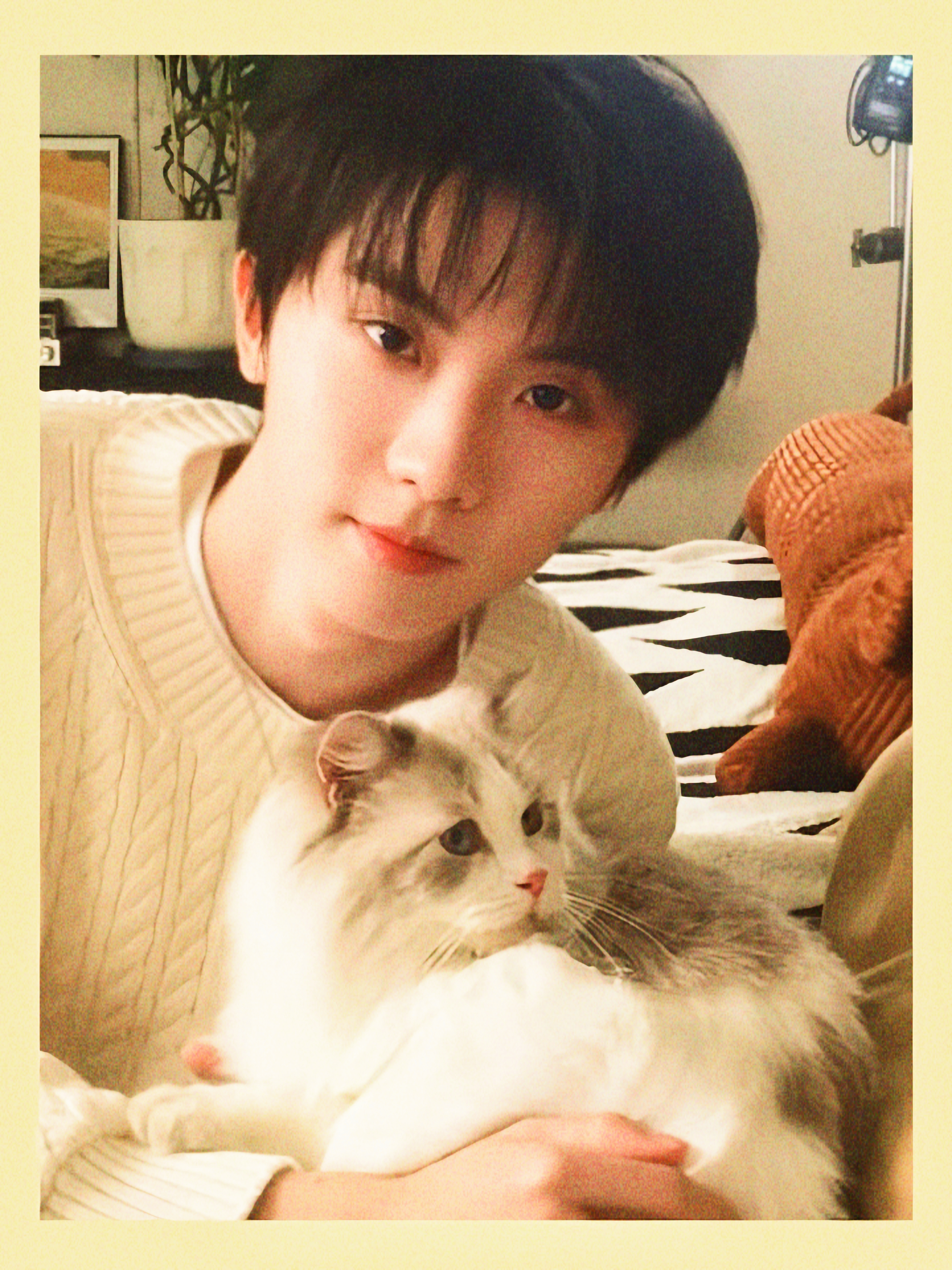 猫咪和猫咪  专栏 · 时柒