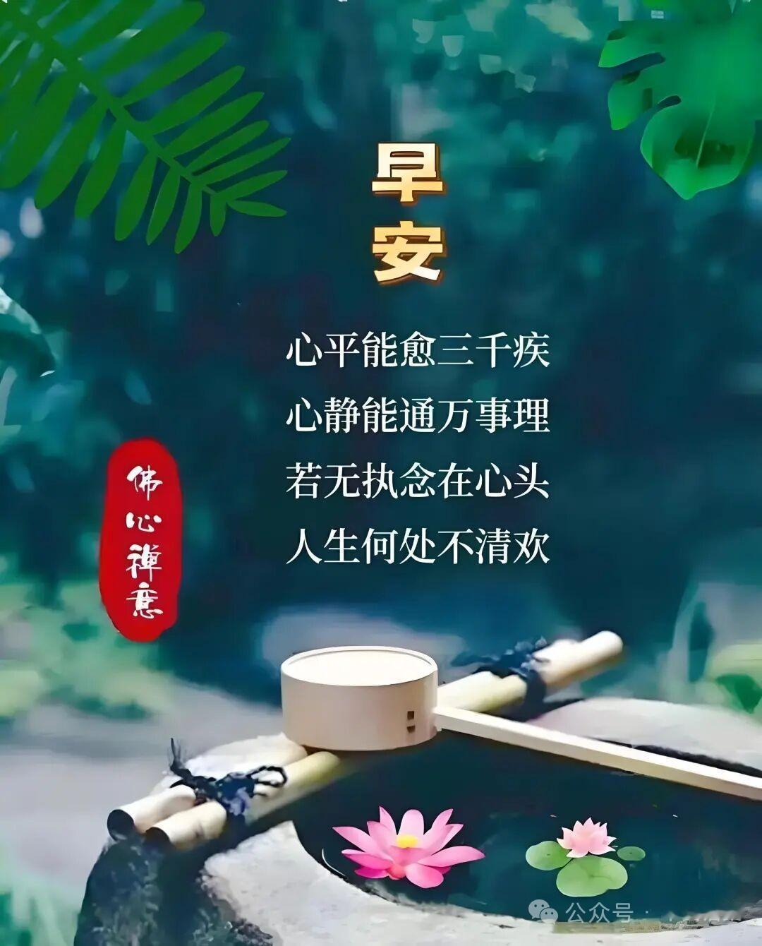 孩子的哪些话语治愈了你我孙子经常问我：奶奶，你没上过大学，但知识好丰富，学习也很
