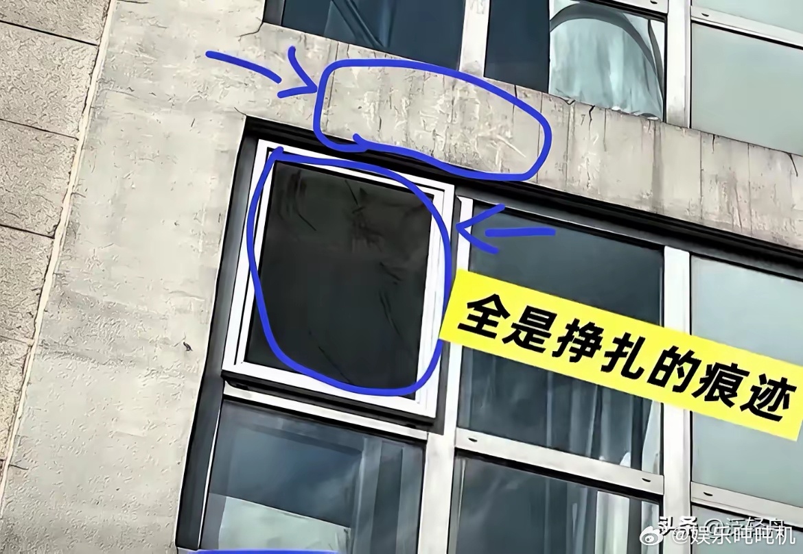 于朦胧的事件。一个想跳楼的人绝不会想去朋友家跳楼，反正我不会信那么好的住宅，没夜