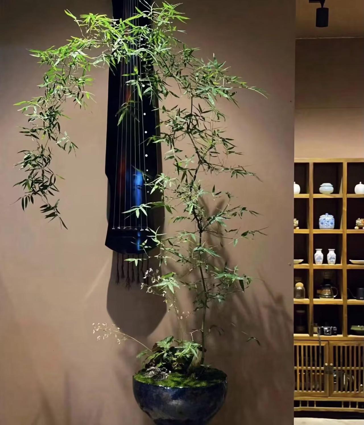 真理经得起实践反复推敲，越辩越明晰；谎言只能靠不断编造新说辞遮掩破绽，终究会被现