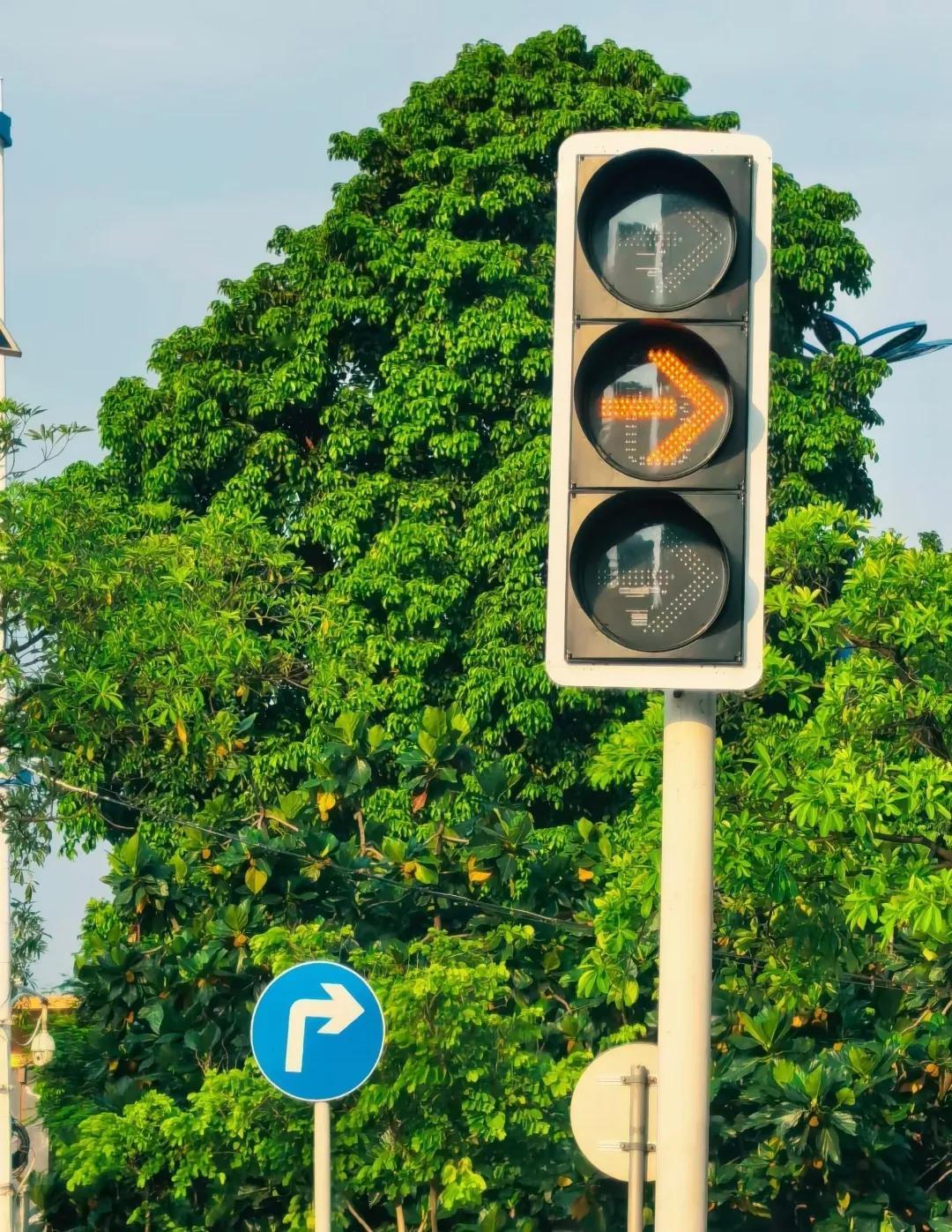 这路口的黄灯，裹在盛夏的绿浪里，成了温柔的提醒。
 
箭头橙光闪着，像对赶路的人