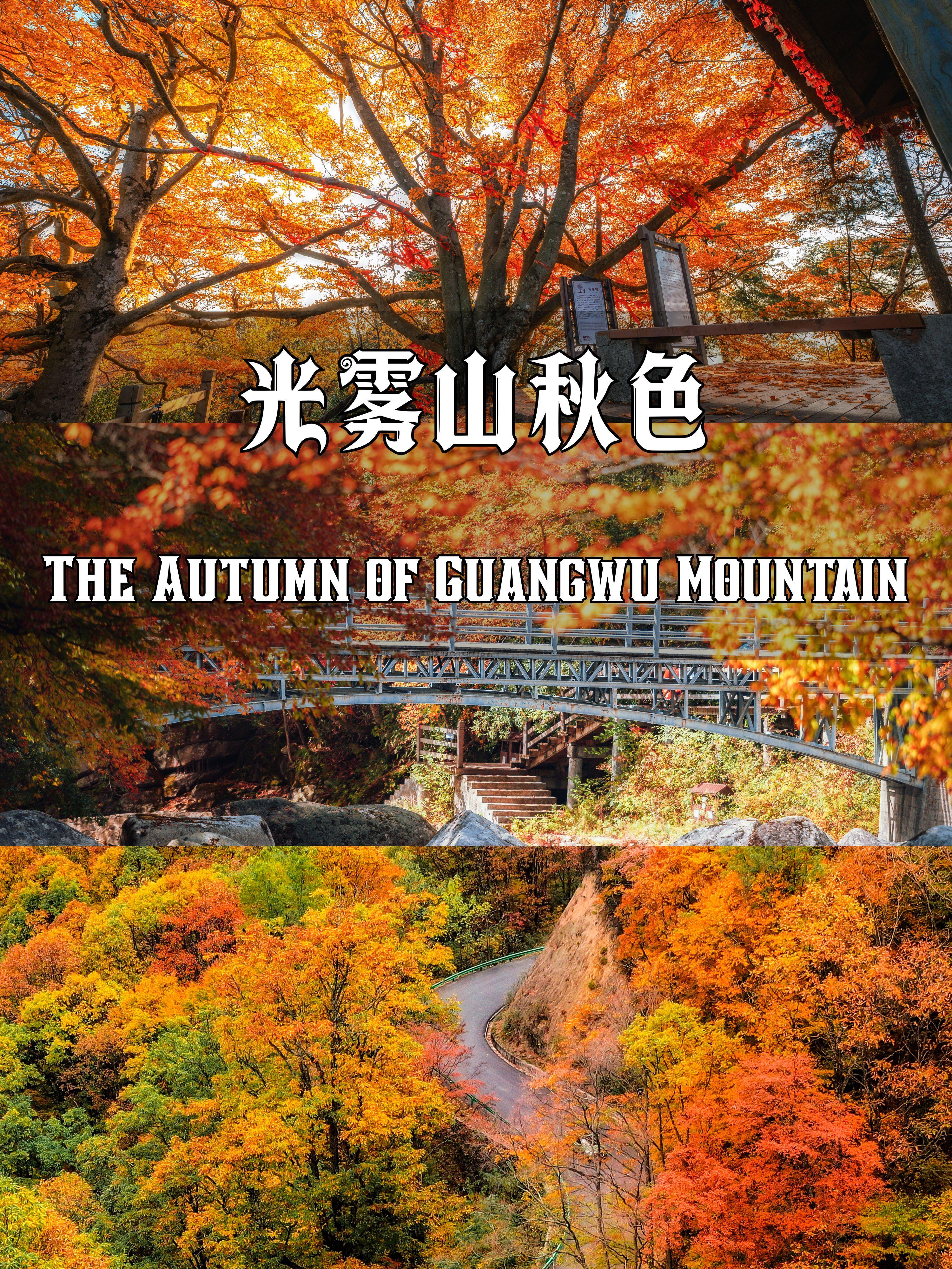 已经开始期待光雾山的秋，10~11月攻略。🍁国家地理没骗我❗️被这片...